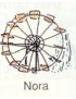 nora.jpg